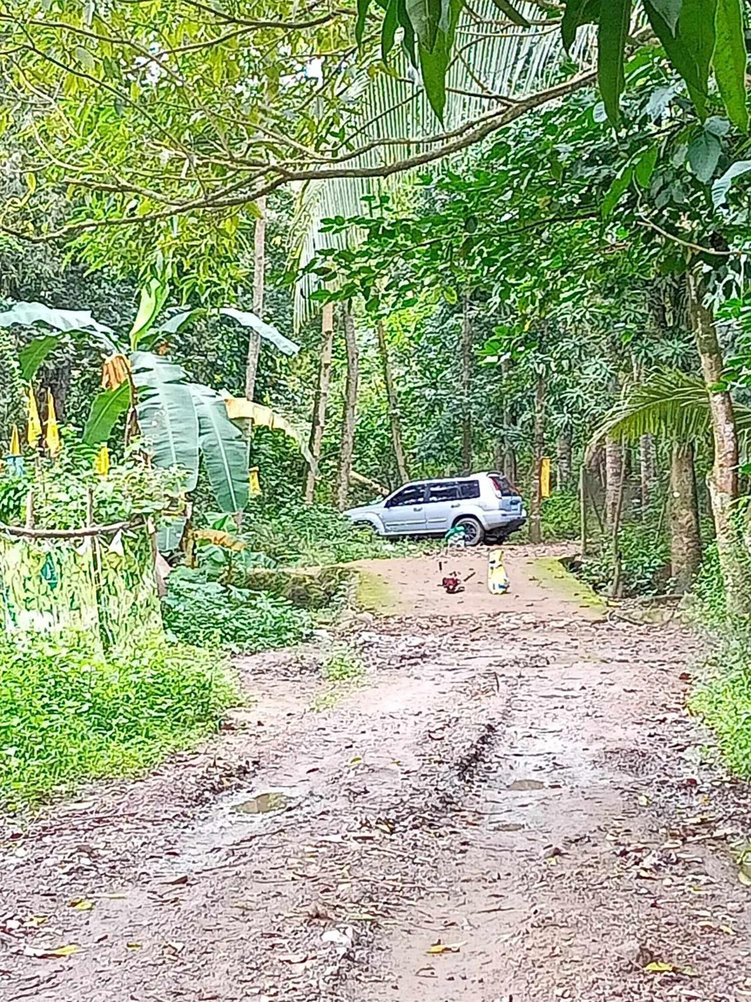 Youmebed Motor Inn At Kambal Kubo Resthouse Antipolo Buitenkant foto